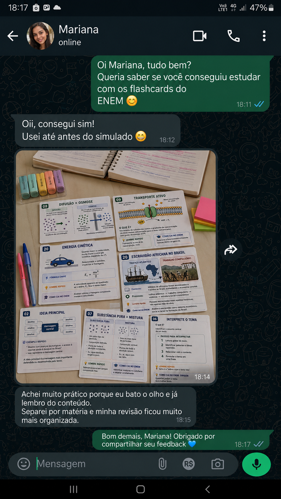 Print de conversa da Mariana sobre os flashcards do ENEM