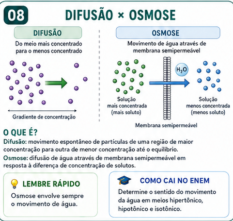 Flashcard de Biologia: Difusão x osmose