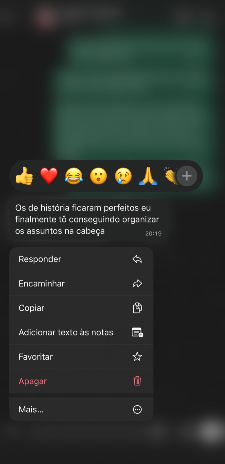 Print de conversa sobre os flashcards de História ajudarem a organizar os assuntos