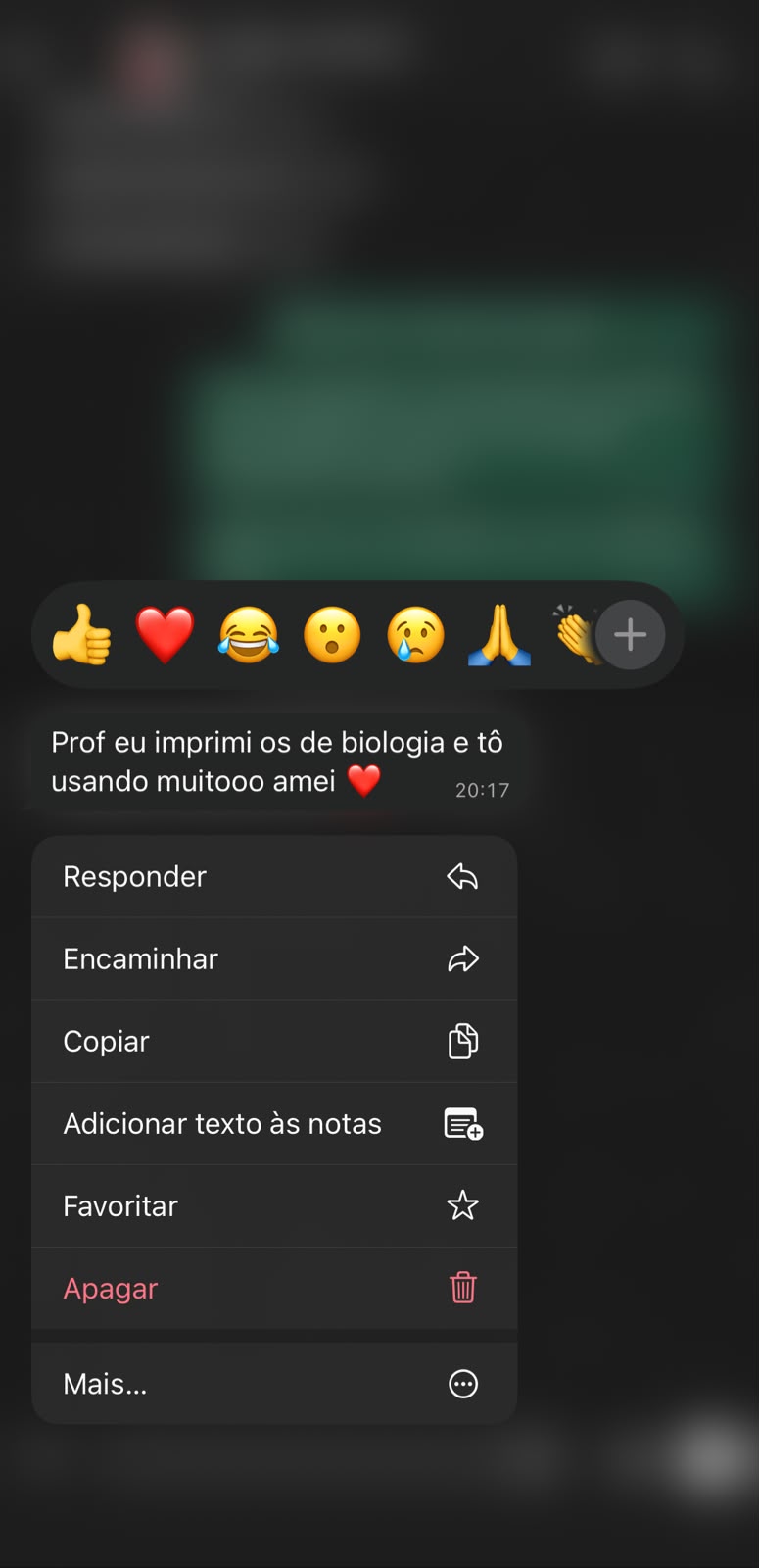 Print de conversa de aluna que imprimiu os flashcards de Biologia