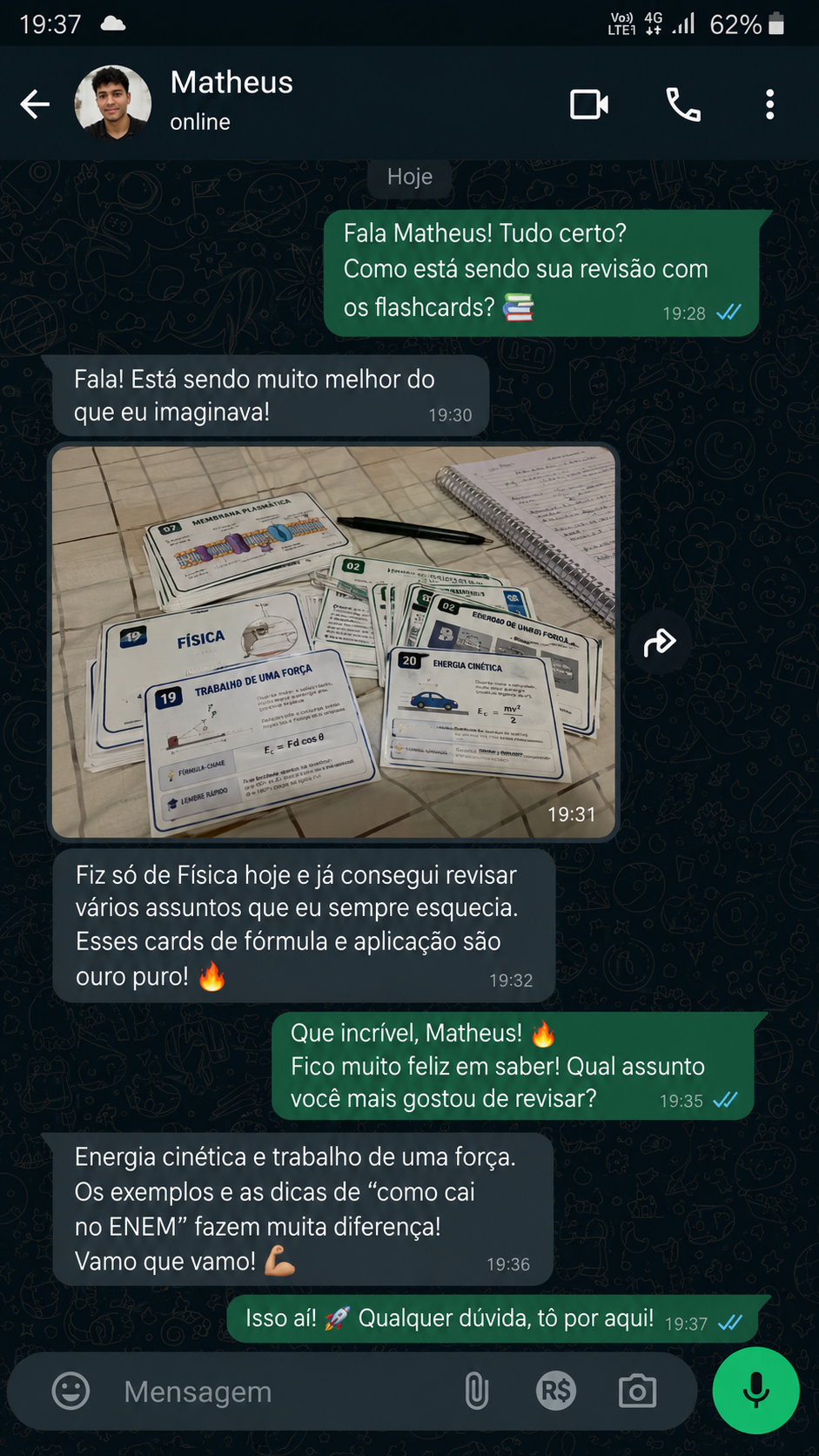 Print de conversa do Matheus sobre os flashcards de Física